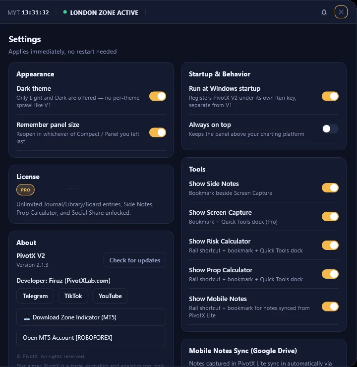 PivotX V2 settings with light and dark theme, startup and tool visibility options